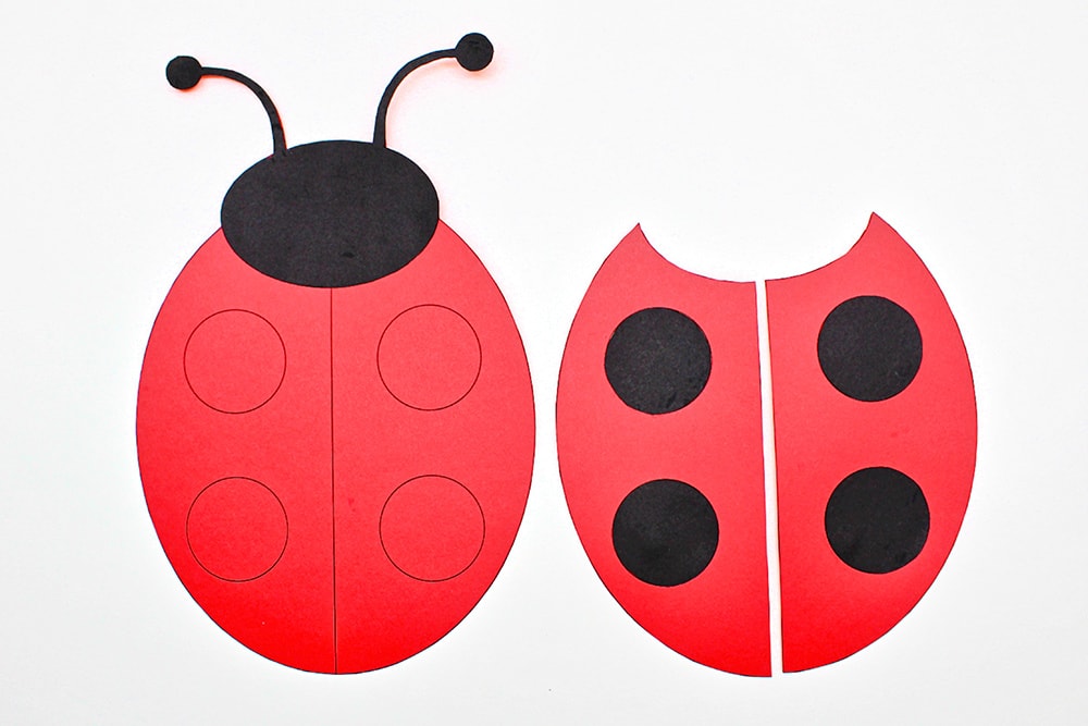 Ladybug body, head and wings glued together.