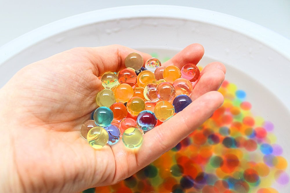 Hydrated Water Beads Grow to Many Times Their Size