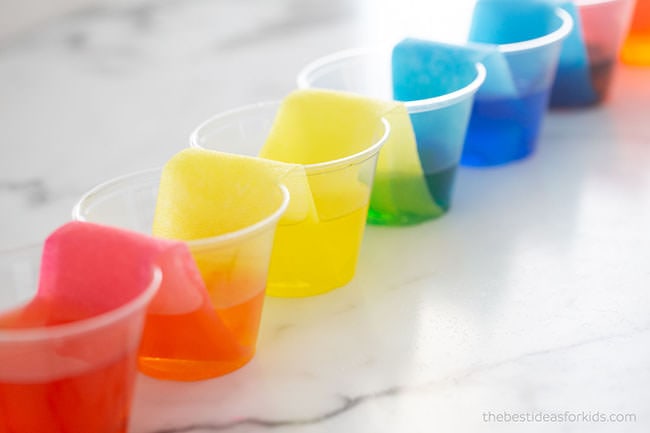 Cups filled with coloured water, joined by paper towels.