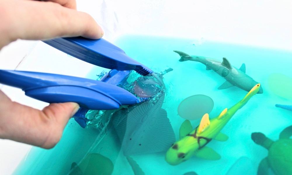 Jumbo tweezers digging ocean toy out of blue gelatin