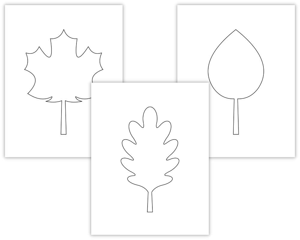 Autumn Leaf Outline Autumn Leaf Outline