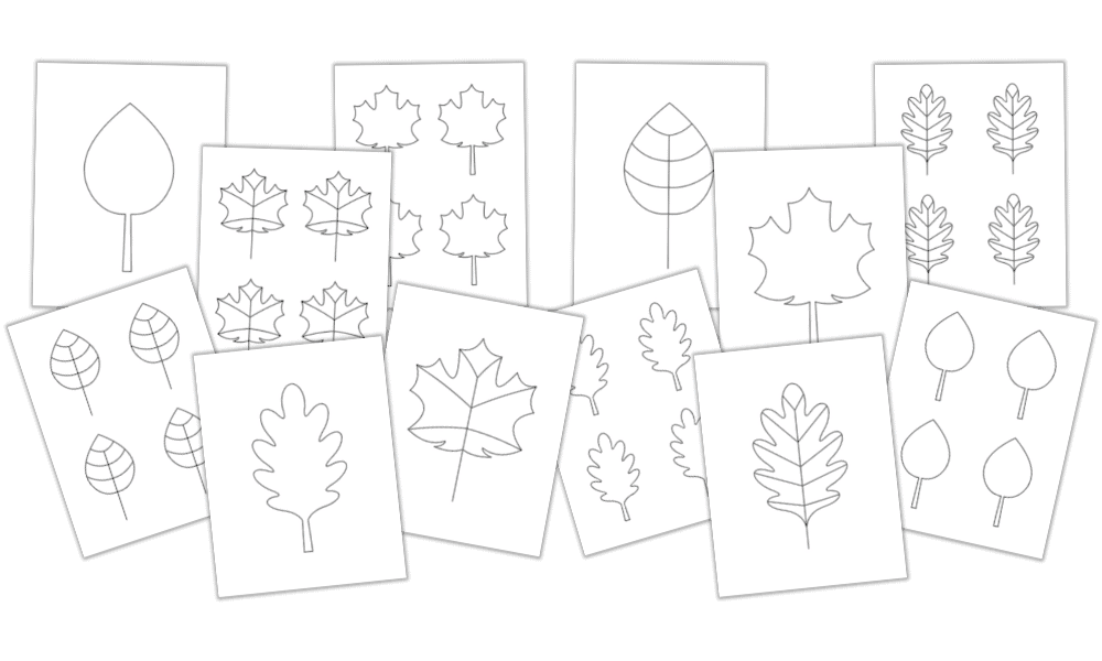 Mockup of free fall leaf template set (12 pages with maple and oak leaves).