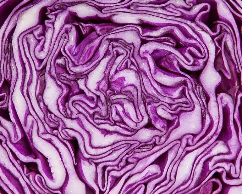 Picture of purple cabbage, cut open.
