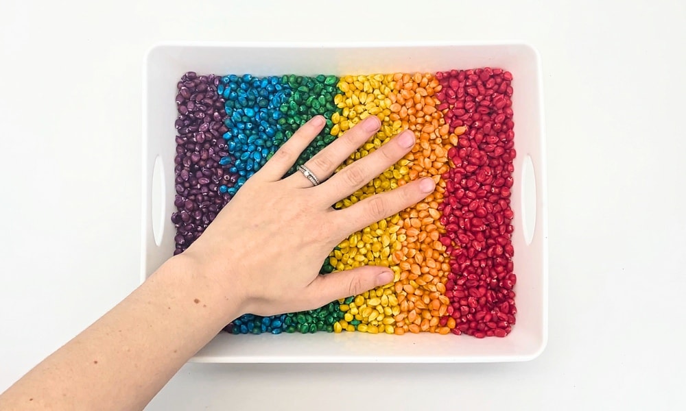 Hand pressing down on a small bin filled with dyed corn kernels, laid out in rainbow order.