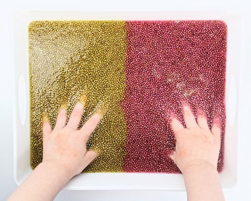 Taste-Safe Chia Seed Sensory Play - The Craft-at-Home Family