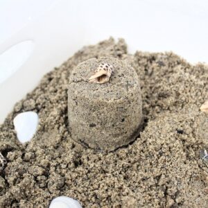 Sensory bin with seashells and play sand built into a mound.