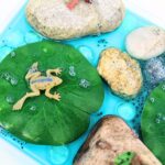 Sensory bin with fake frogs, lily pads, rocks and frog eggs.