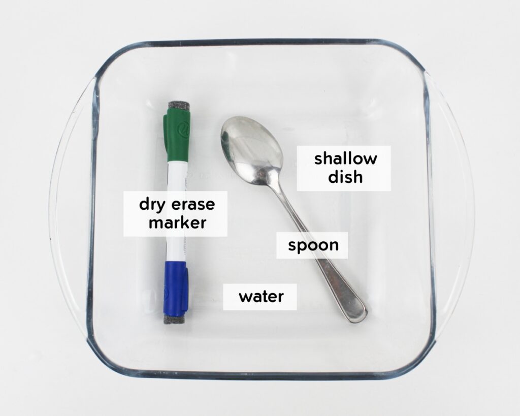 Supplies to do a floating shamrock experiment.