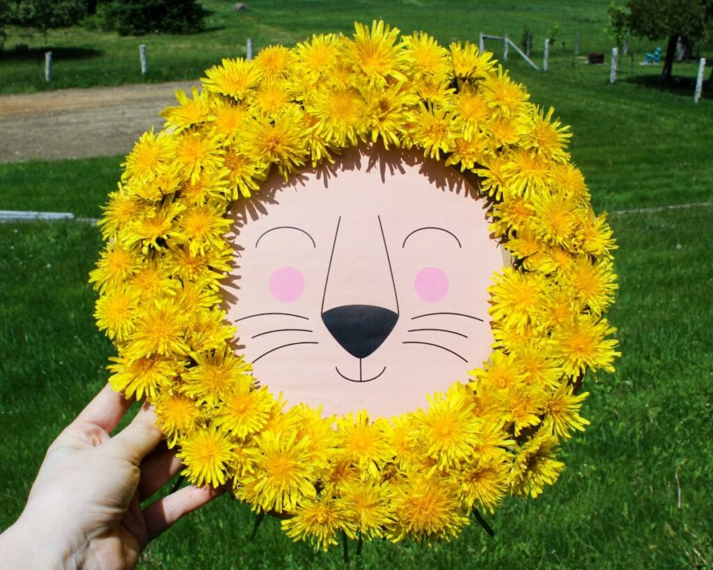 Hand holding up a lion craft with a mane made from yellow dandelions.