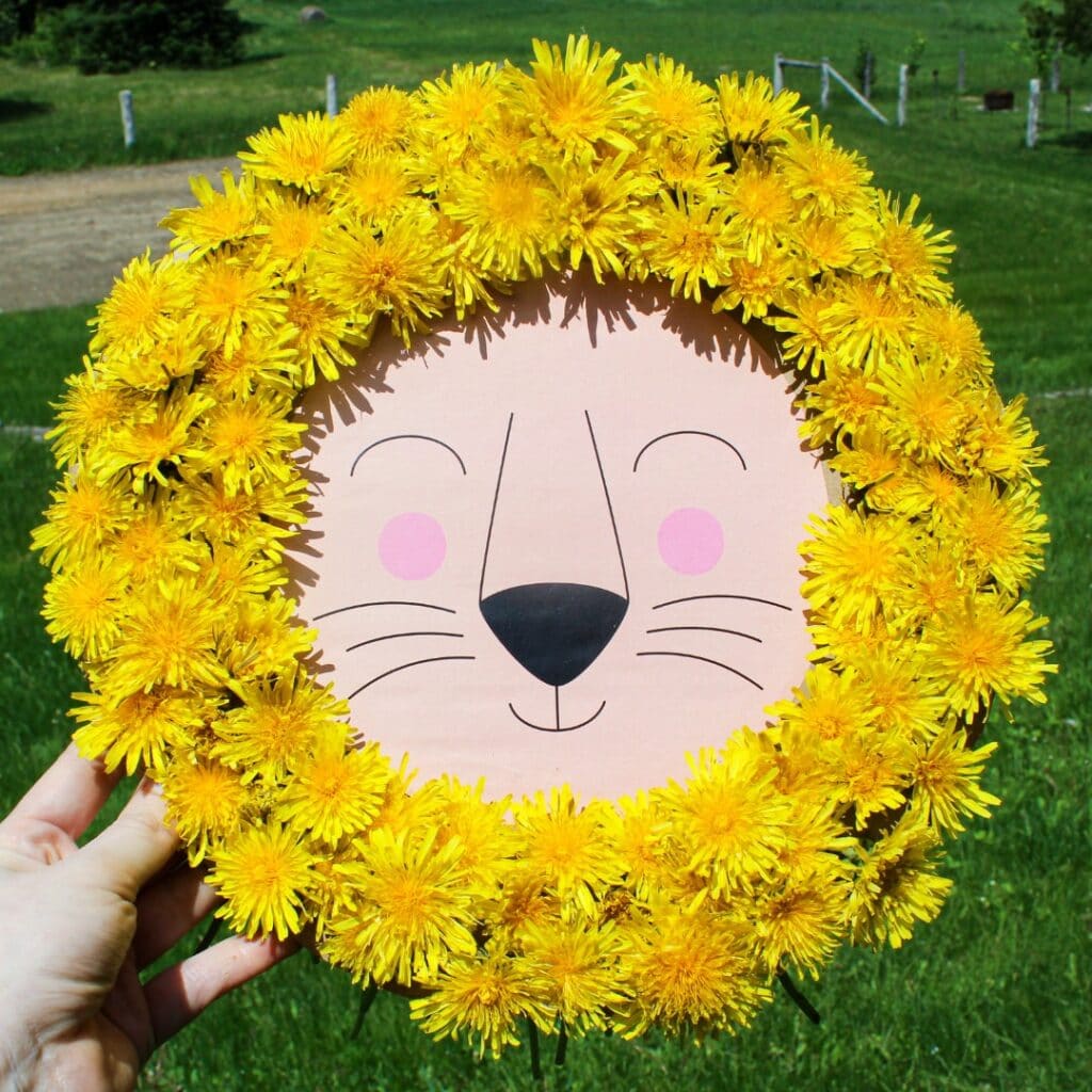 Hand holding up a lion craft with a mane made from yellow dandelions.