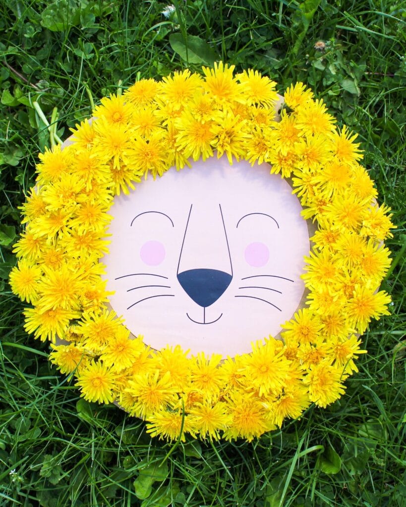 Lion craft with a mane made from yellow dandelions, resting on the grass outside.
