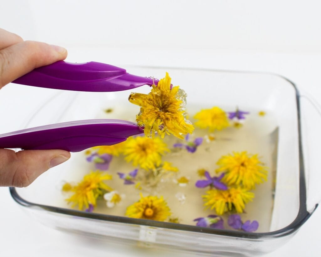 Hand holding a gelatin-covered dandelion using jumbo tweezers.