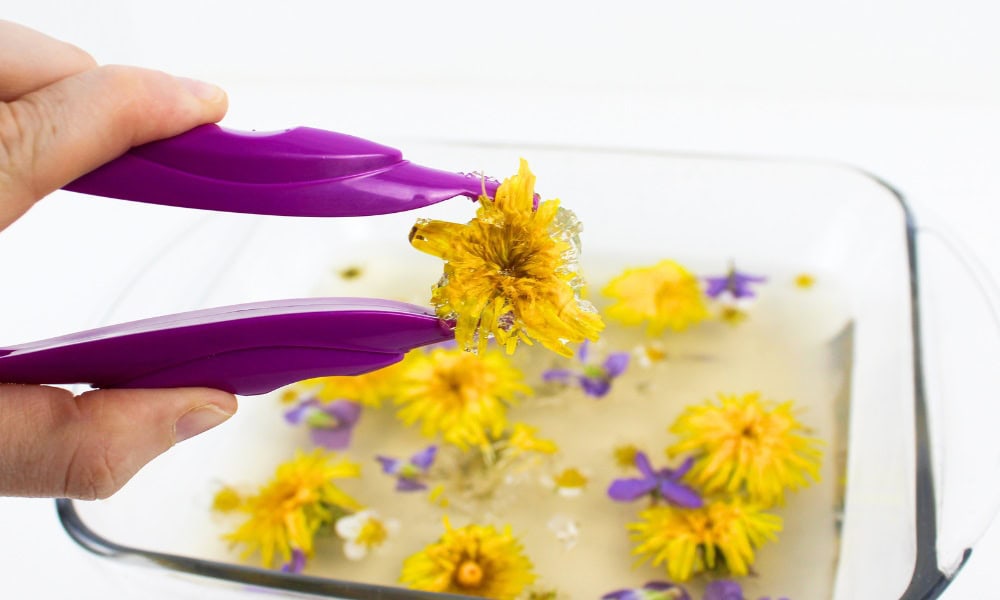 Hand holding a gelatin-covered dandelion using jumbo tweezers.
