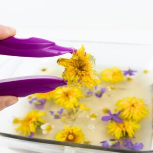 Hand holding a gelatin-covered dandelion using jumbo tweezers.