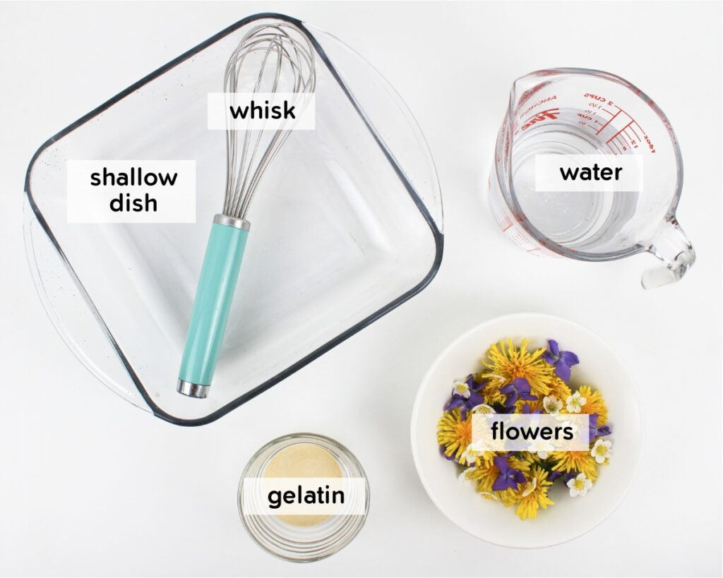 Supplies needed to set up a Jell-O flower dig.