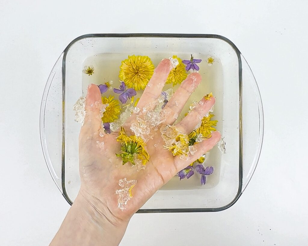 Hand squishing clear Jell-O and flowers.