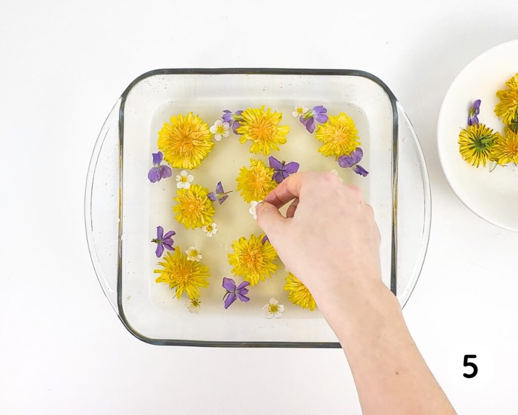 Hand placing flowers inside the gelatin mixture