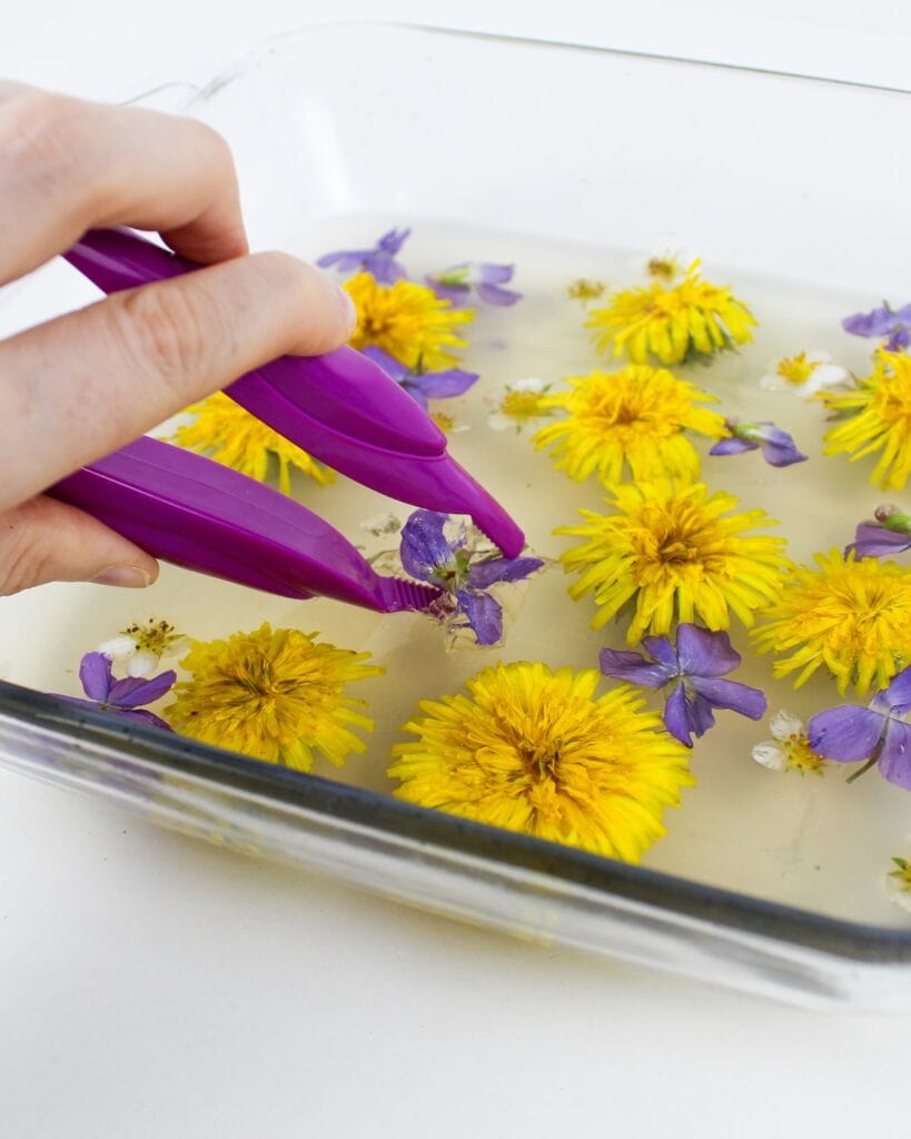 Hand digging flowers out of Jell-O using jumbo tweezers.